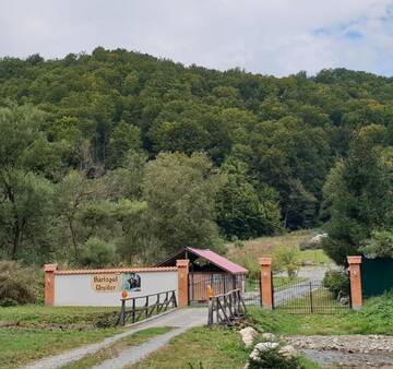 Фото номера Вилла Лоджи Bârlogul Urșilor г. Şinca Veche 4